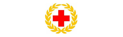 263解决方案-中国红十字会援外医疗队